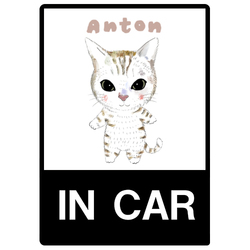 ANTON