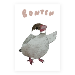 bonten