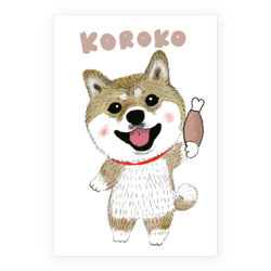 koroko