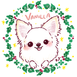 Vanilla