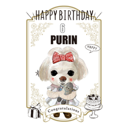 PURIN