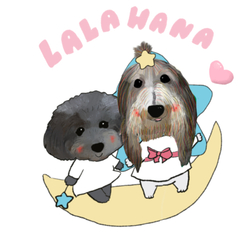 LALA HANA