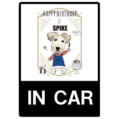 SPIKE