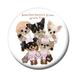 komutan pomuru lilou viola luce