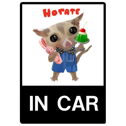 hotate