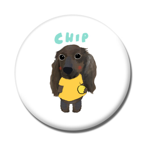 CHIP