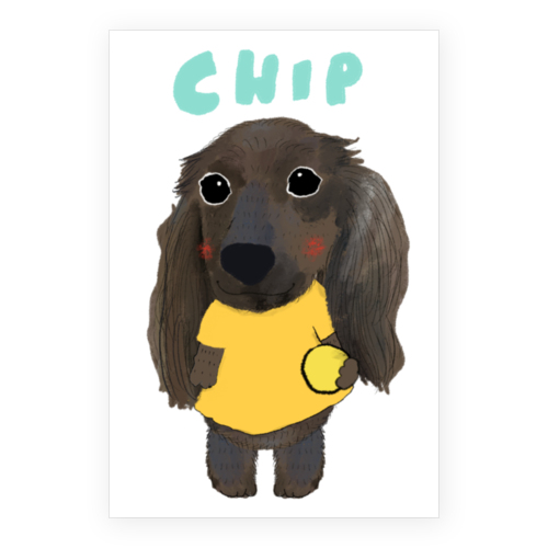 CHIP