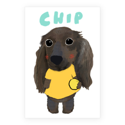 CHIP