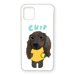 CHIP