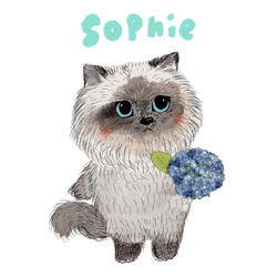 SOPHIE
