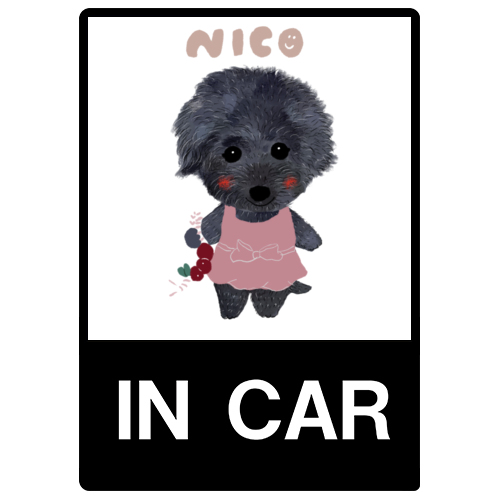 nico