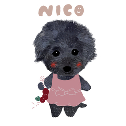 nico