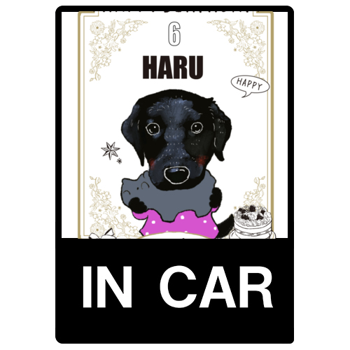 HARU