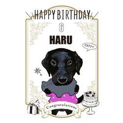 HARU