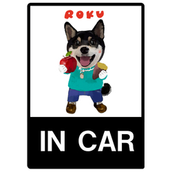 ROKU