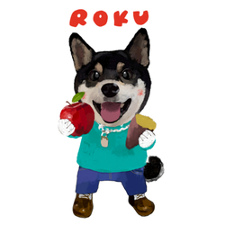 ROKU