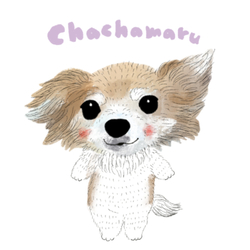 chachamaru