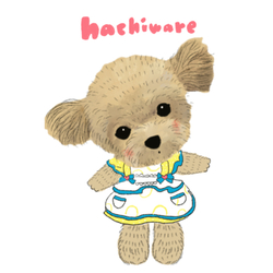 hachiware