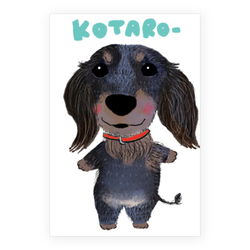 KOTARO-