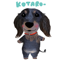 KOTARO-
