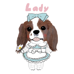 lady