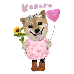koroko