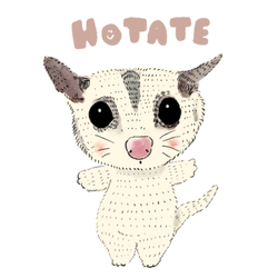 hotate