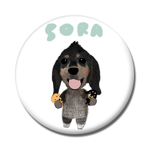 sora