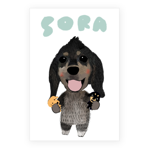 sora