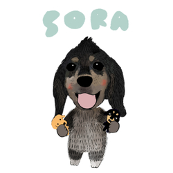 sora
