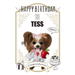 TESS