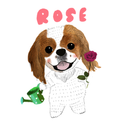 rose