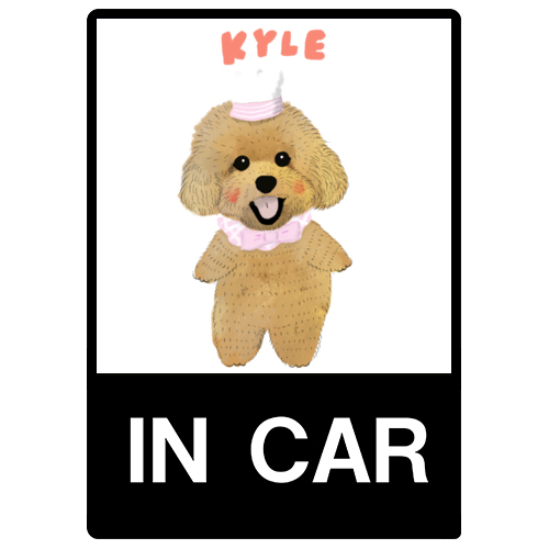 kyle