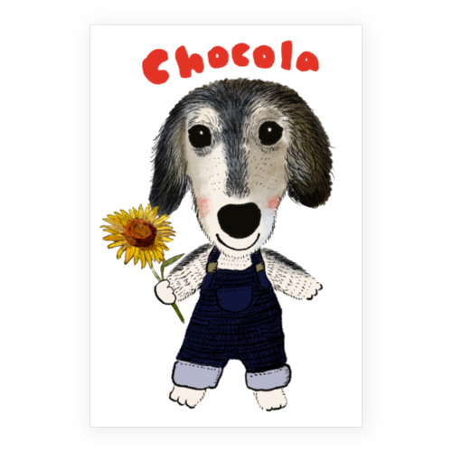 chocola