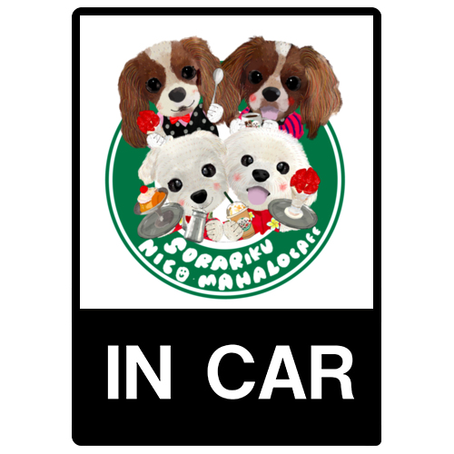 NIKO HAMALO RIKU SORA