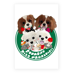 NIKO HAMALO RIKU SORA