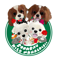 NIKO HAMALO RIKU SORA