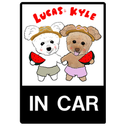 Kyle Lucas