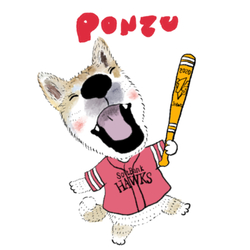 PONZU