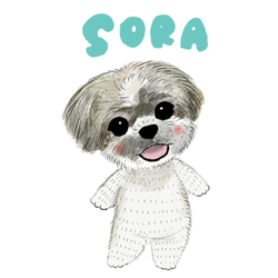 SORA