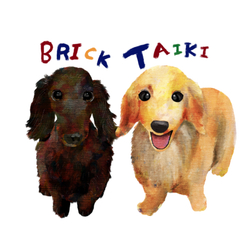 BRICK TAIKI