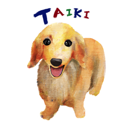 TAIKI