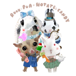 rook pua hotate candy