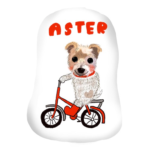 ASTER