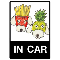 ポテト＆パイン