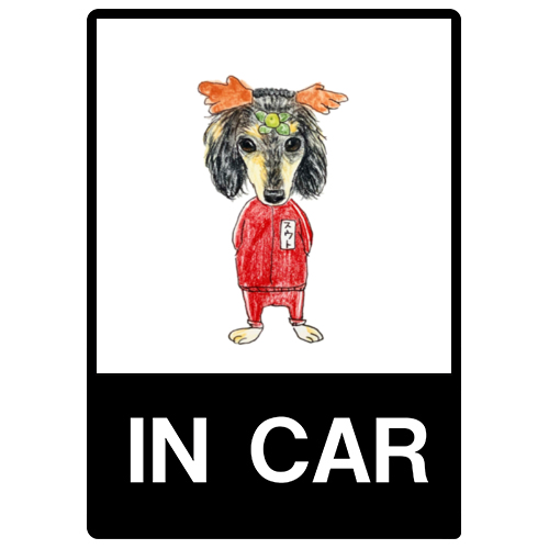 スカイくん（スカウト）