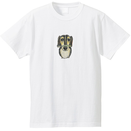 スカイくん（煮干し）