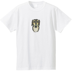 スカイくん（煮干し）