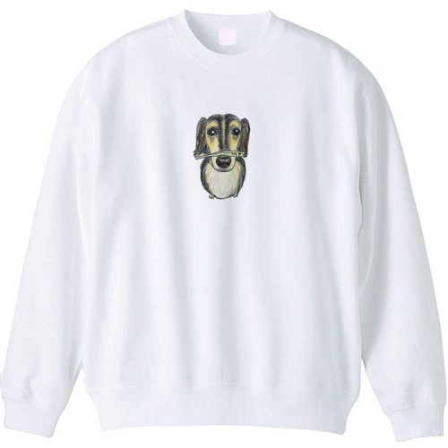 スカイくん（煮干し）