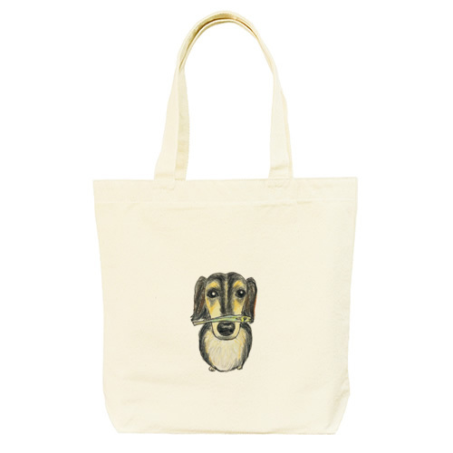 スカイくん（煮干し）